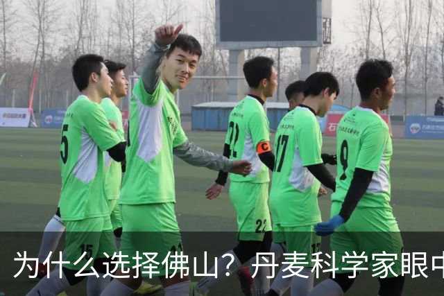 为什么选择佛山？丹麦科学家眼中的这座城市