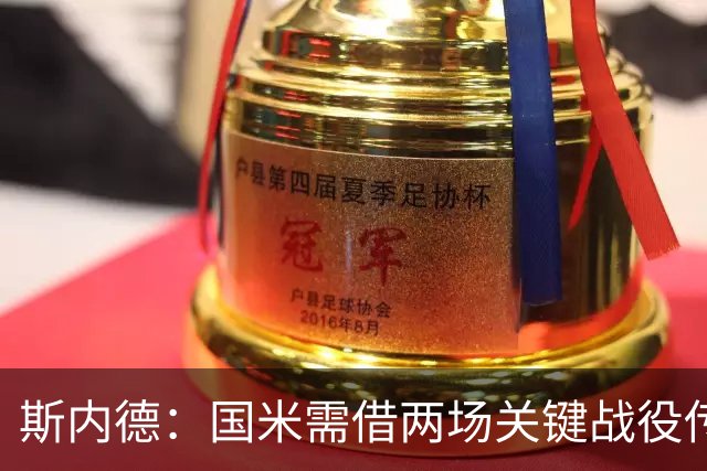 斯内德：国米需借两场关键战役传达信心，目前仅一球员可入2010三冠阵容
