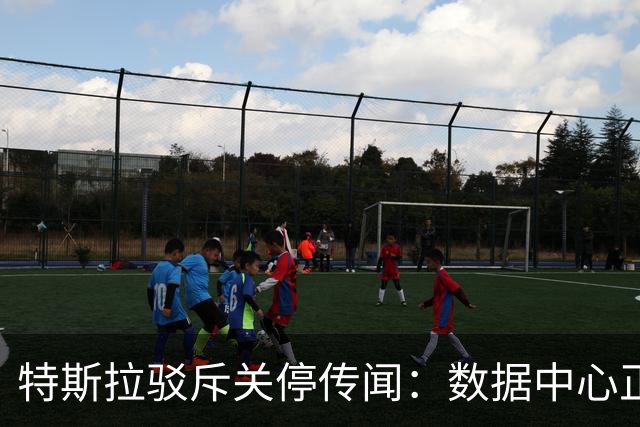 特斯拉驳斥关停传闻：数据中心正常运作，招聘加速进行